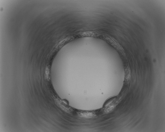 X0000083620669200703121630