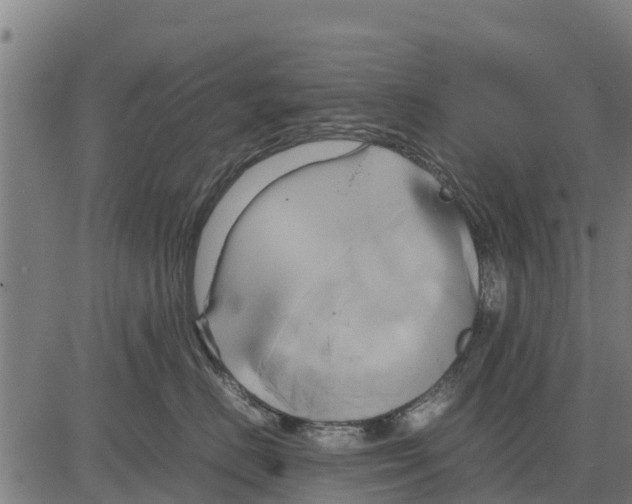 X0000083620670200703121630