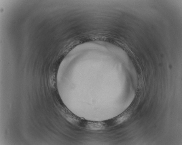 X0000083620671200703121630