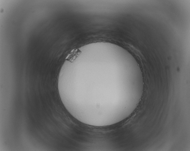 X0000083620672200703121630