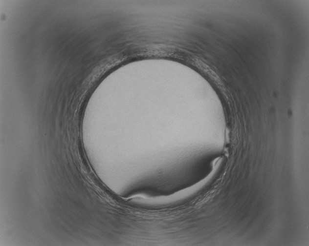 X0000083620673200703121629