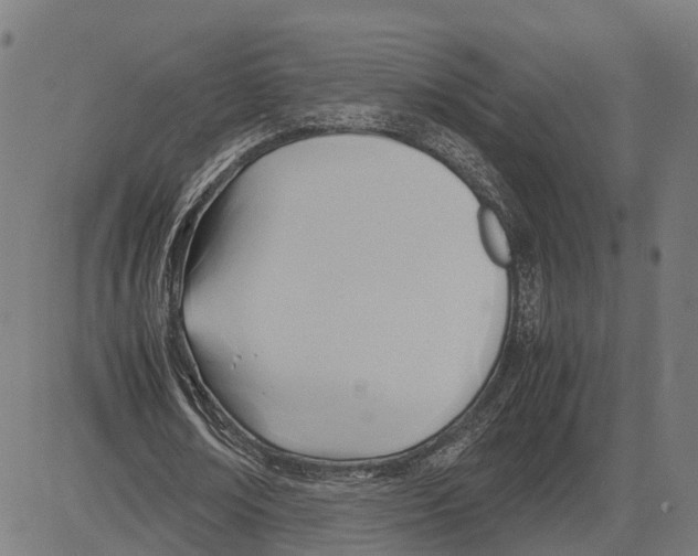 X0000083620674200703121629