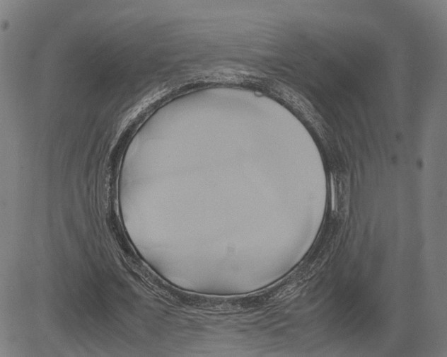 X0000083620675200703121629