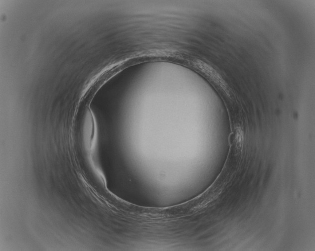 X0000083620676200703121629