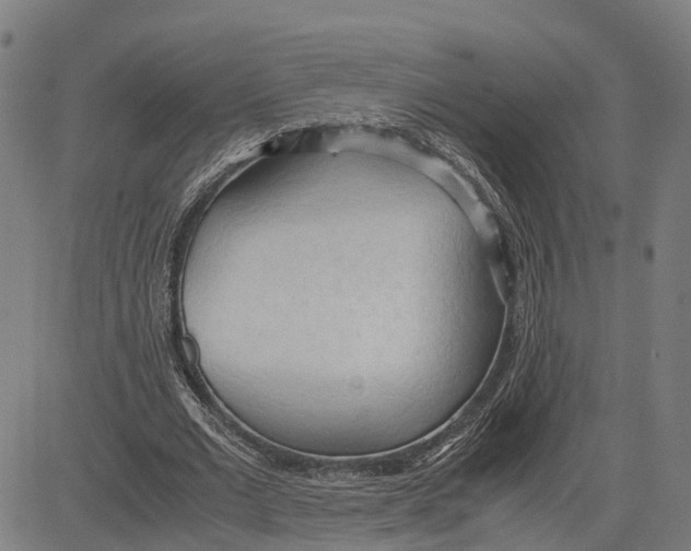 X0000083620677200703121629