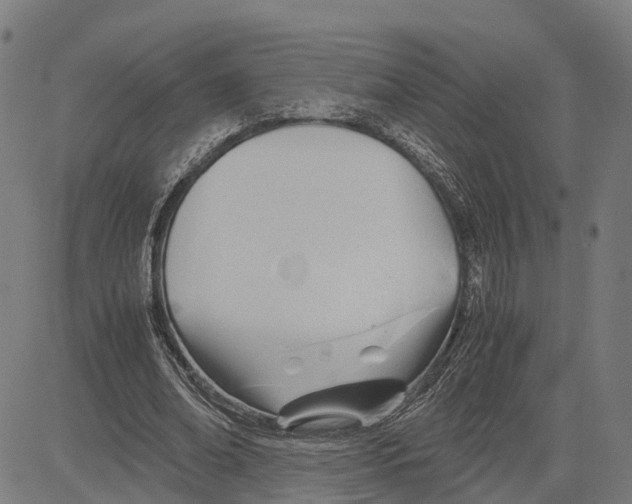 X0000083620678200703121629