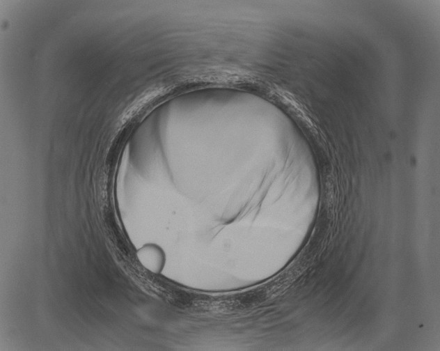 X0000083620679200703121629