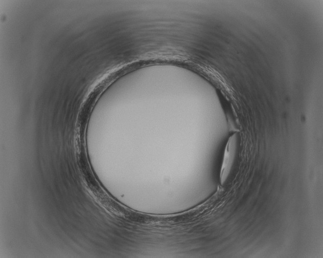 X0000083620680200703121629