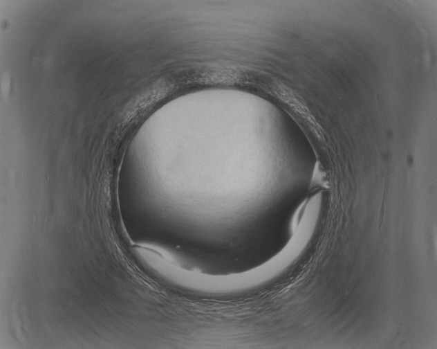 X0000083620681200703121629