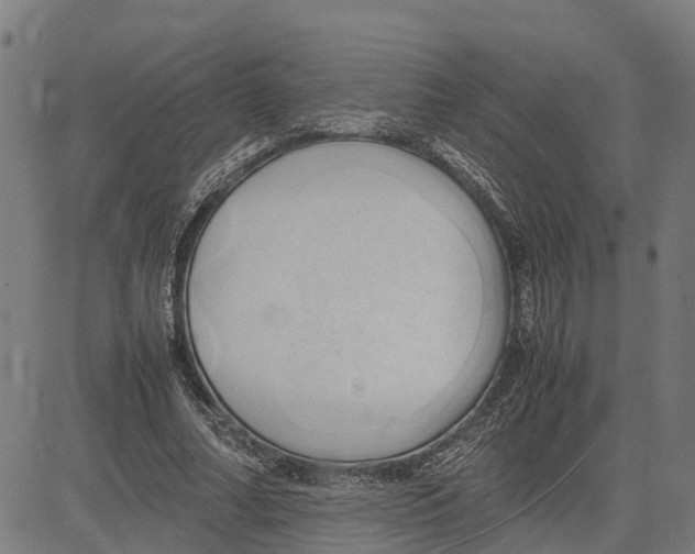 X0000083620682200703121629