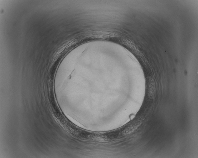 X0000083620683200703121629