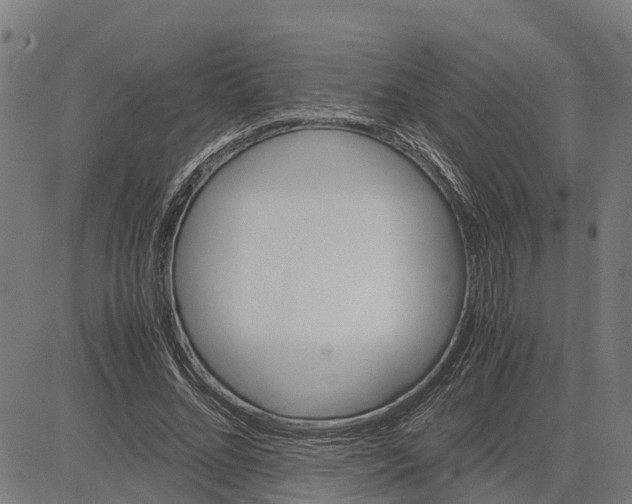 X0000083620684200703121629