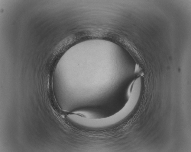 X0000083620685200703121629