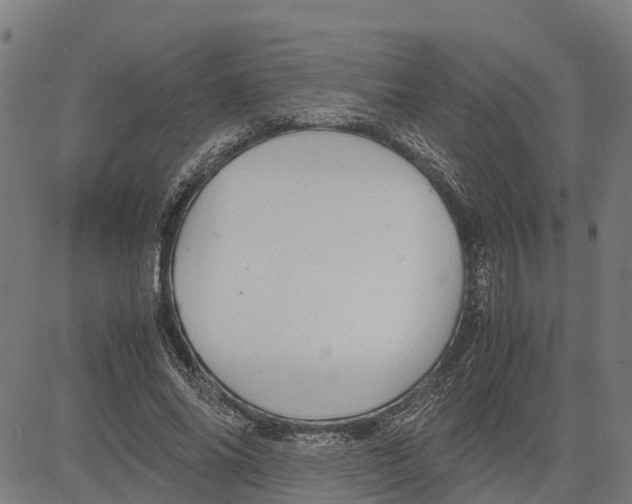 X0000083620686200703121629