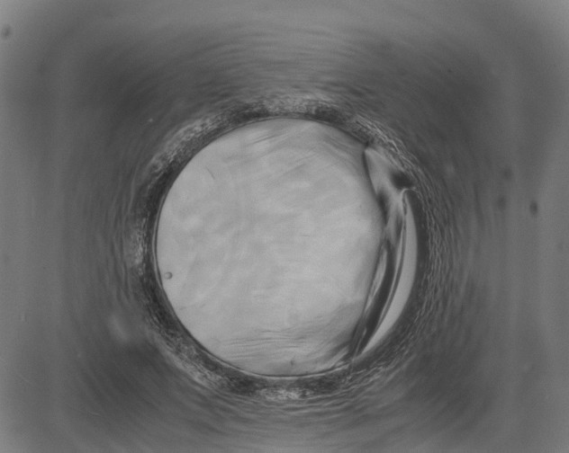 X0000083620687200703121629