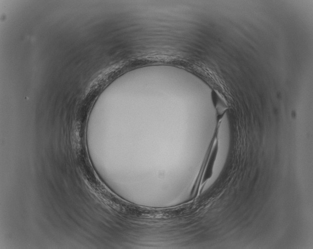 X0000083620688200703121629