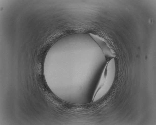 X0000083620689200703121629