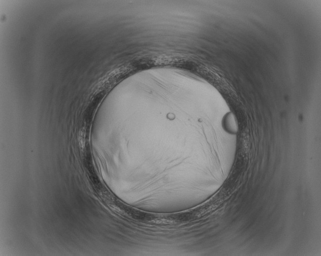 X0000083620691200703121629