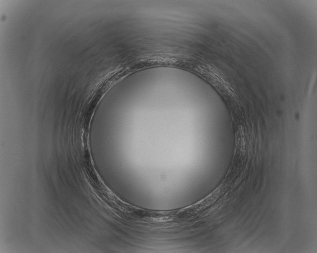 X0000083620692200703121629