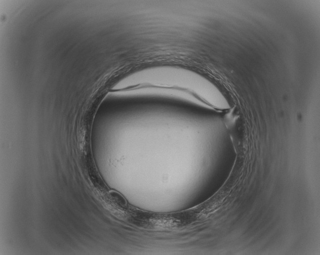 X0000083620693200703121629