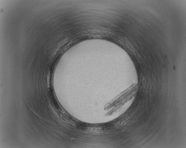 X0000083620694200703121629