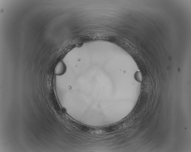 X0000083620695200703121629