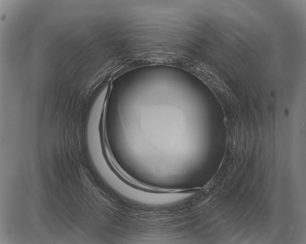 X0000083620696200703121629