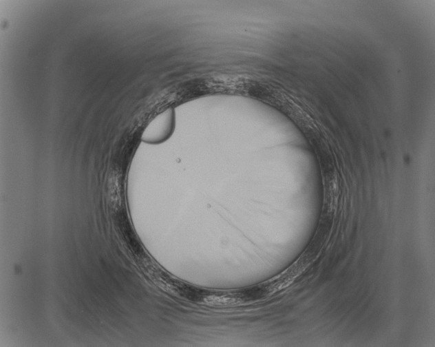 X0000083620699200703121629