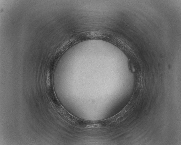 X0000083620700200703121628