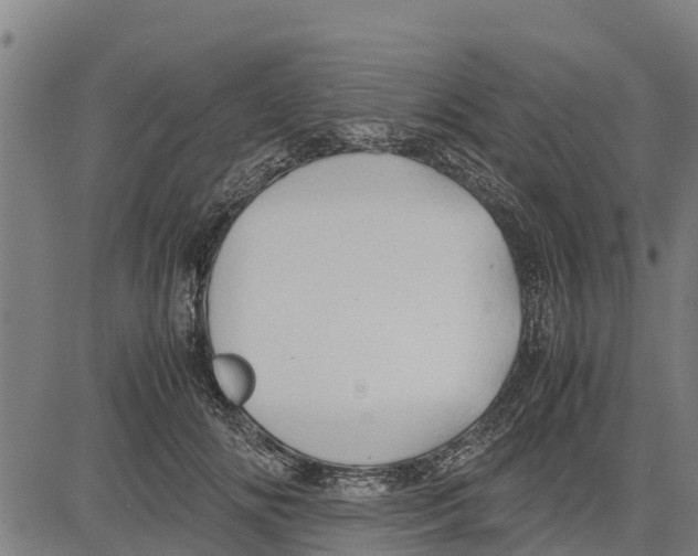 X0000083620702200703121628