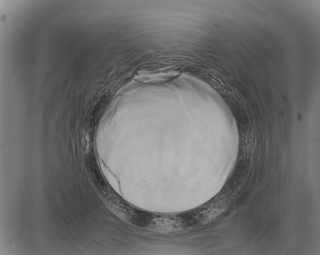 X0000083620703200703121628