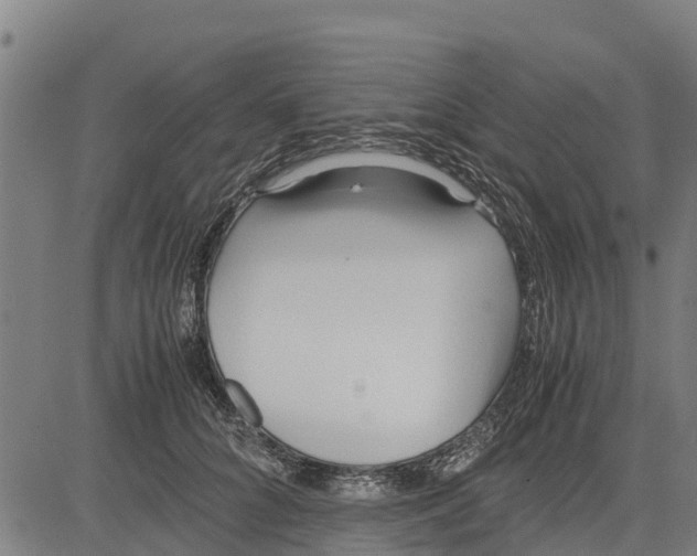 X0000083620704200703121628