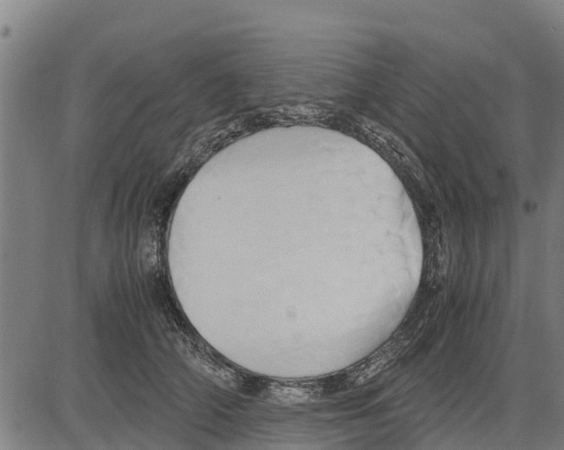 X0000083620706200703121628