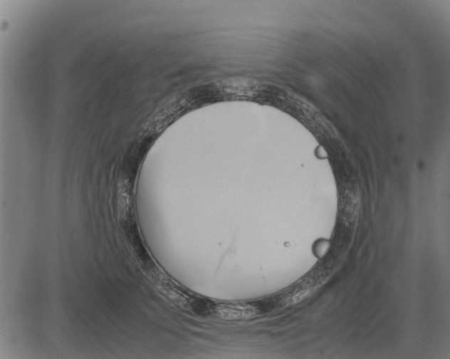 X0000083620707200703121628