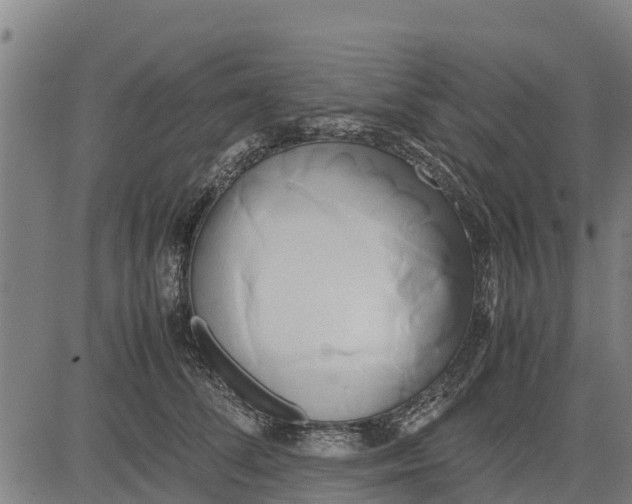 X0000083620708200703121628