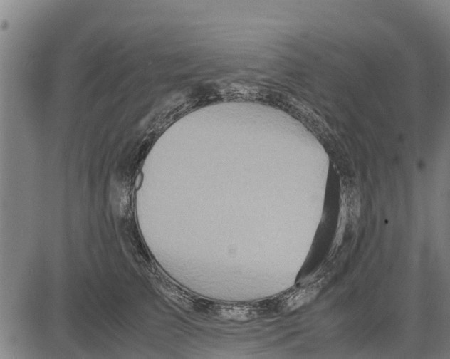 X0000083620709200703121628