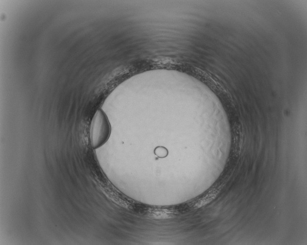 X0000083620710200703121628