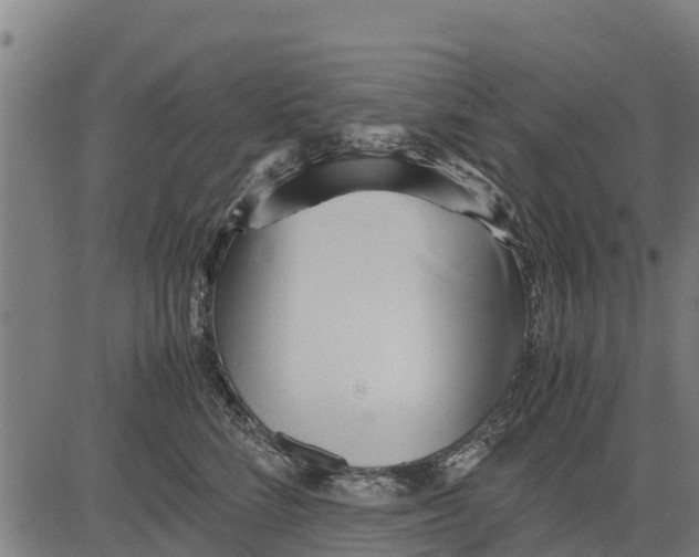 X0000083620712200703121628