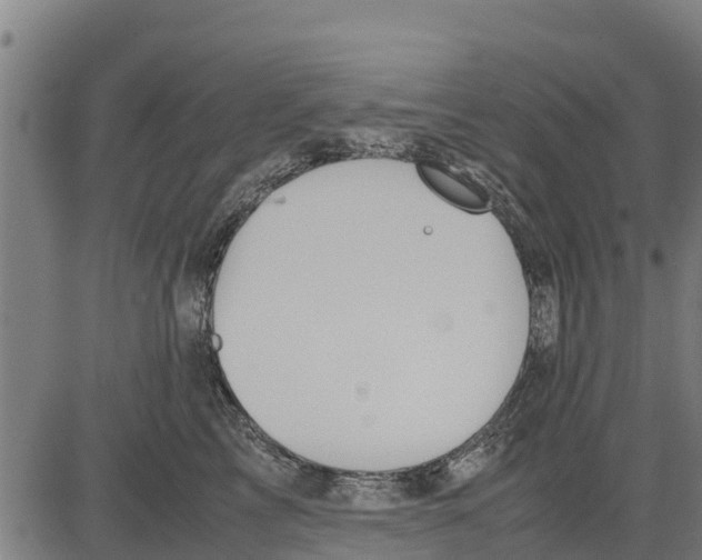 X0000083620713200703121628