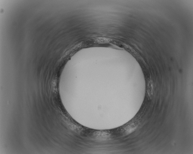 X0000083620714200703121628