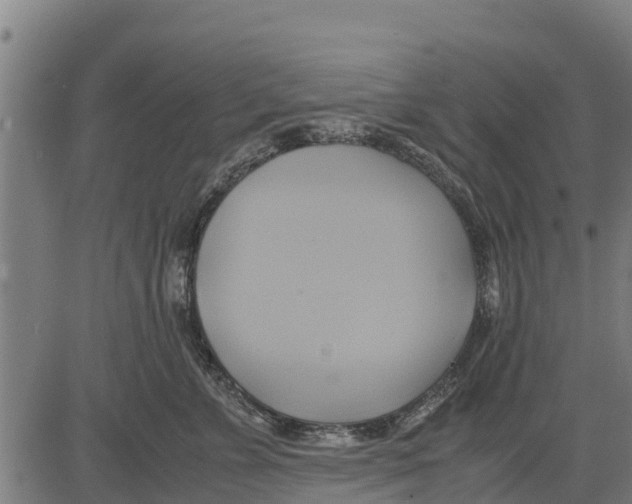 X0000083620715200703121628