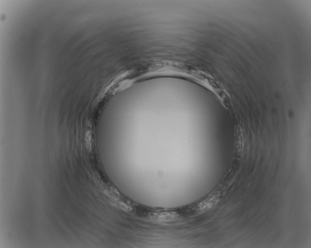 X0000083620716200703121628