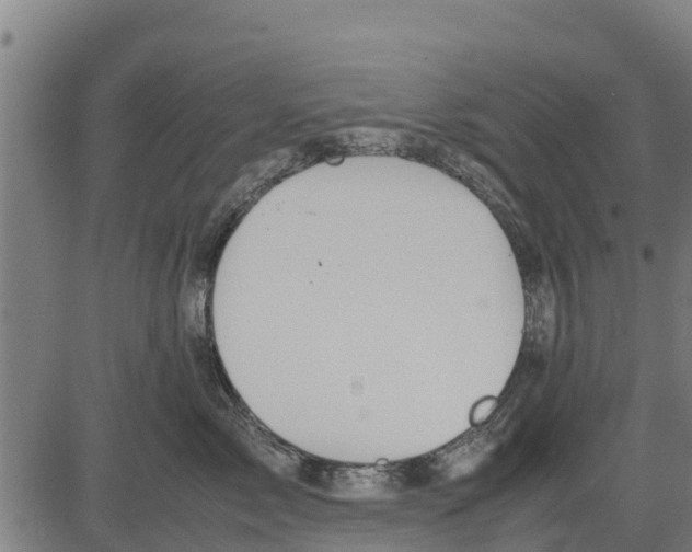 X0000083620717200703121628