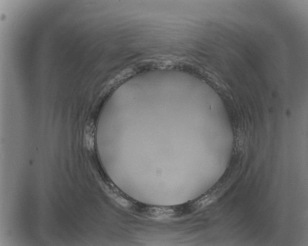 X0000083620719200703121628