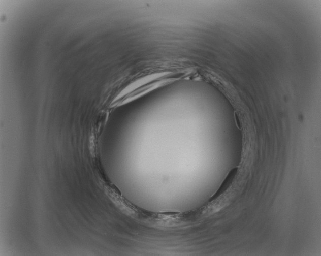 X0000083620720200703121628