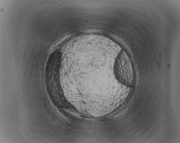 X0000083620721200703121627