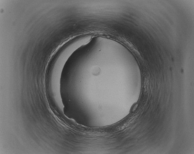 X0000083620722200703121627