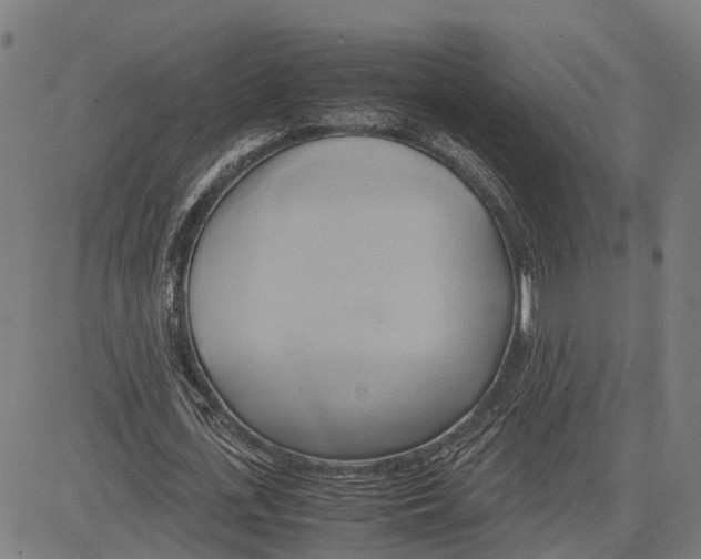 X0000083620723200703121627