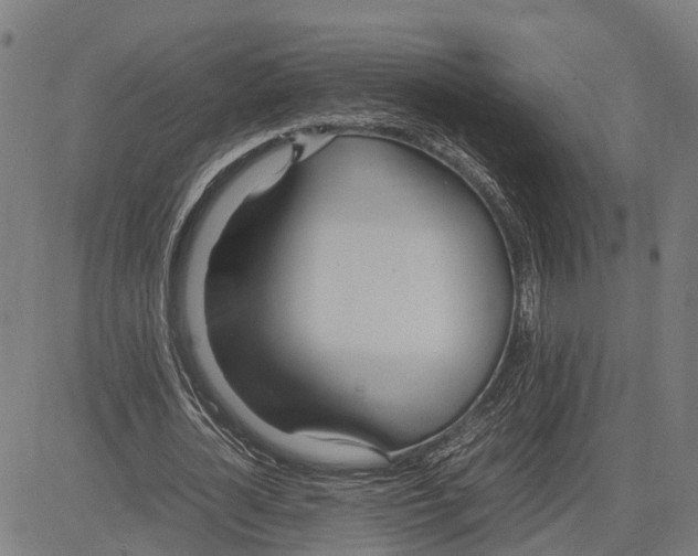 X0000083620724200703121627