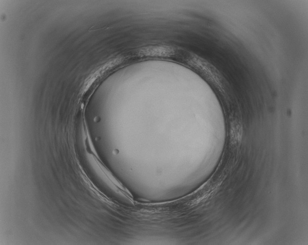 X0000083620725200703121627